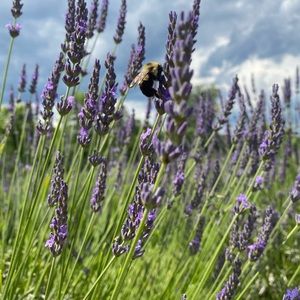 Meet your Posher, Kelli